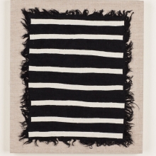 Black Zebra
